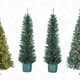 Save on Christmas Trees from Amazon